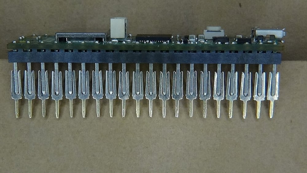 Exposed female-header contacts illustrate the structure hidden by a housing, not a Dubox part identification.
