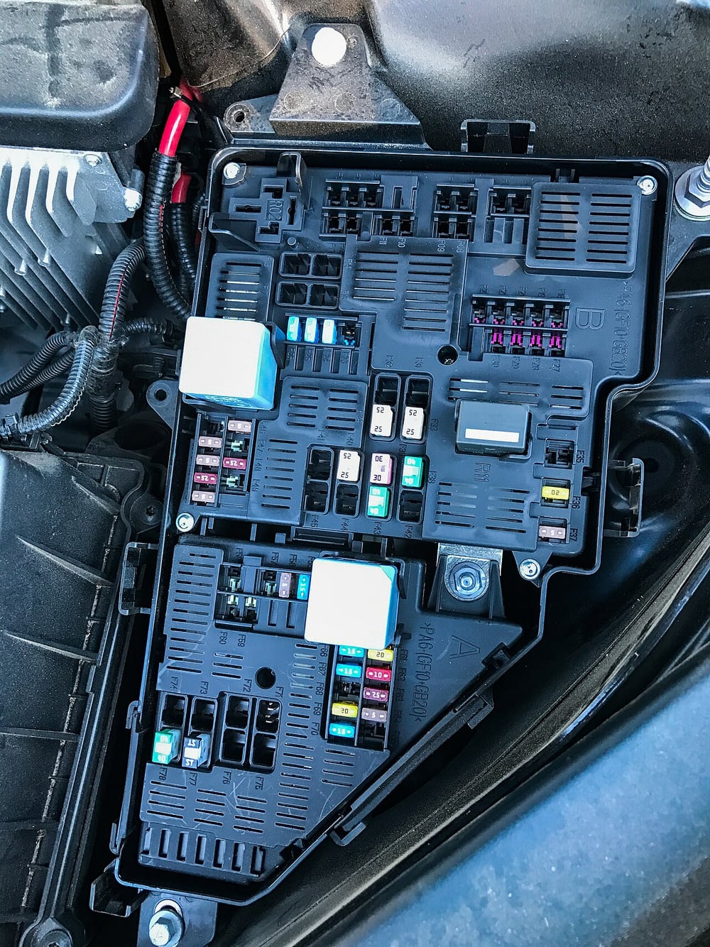 An automotive fuse box illustrates the environment around protected vehicle feeds.
