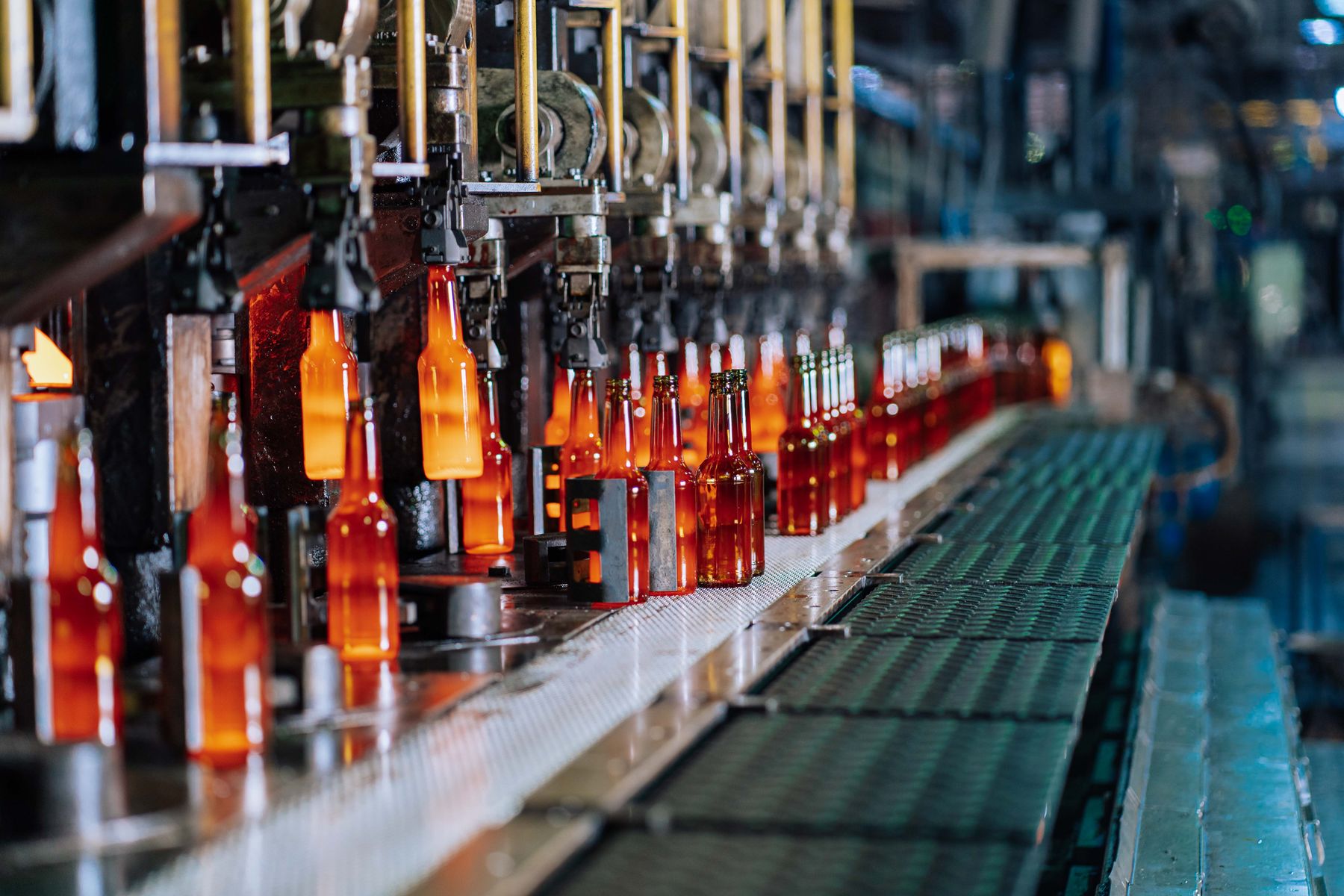 Packaging & processing equipment