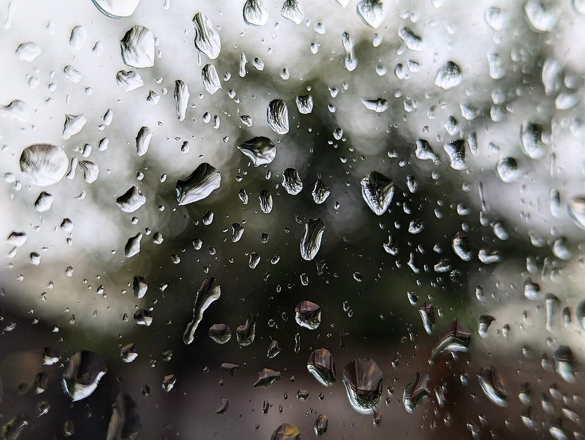 Rainwater is the exposure to consider; this environmental photo is not a connector ingress-test result.