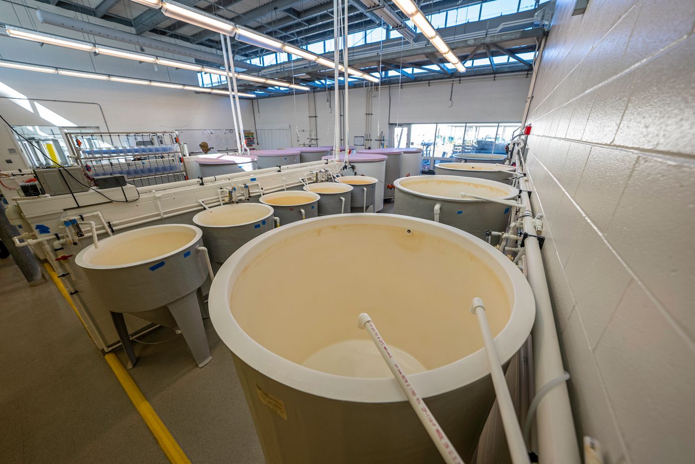 TPE, TPU, PVC, PA and low-pressure resins