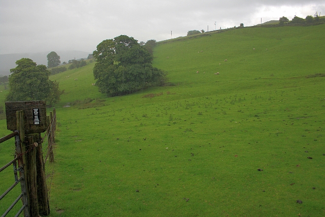 Rain represents exposure conditions, not a waterproof test of the product.