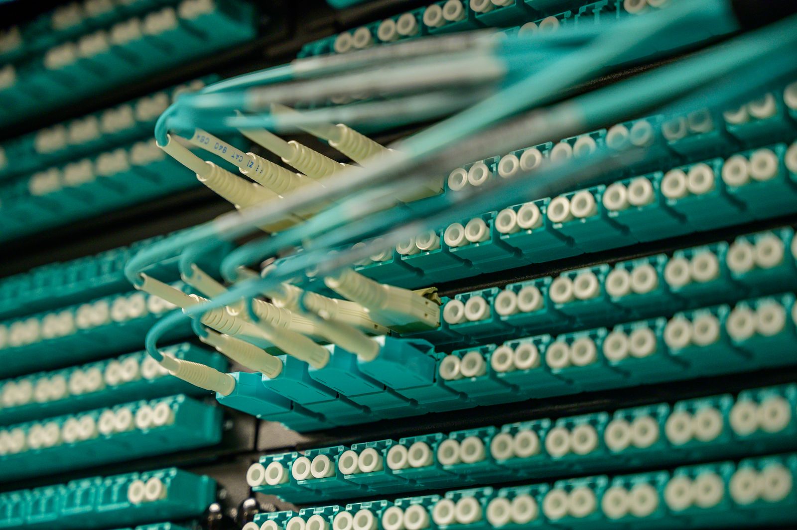 Rack fiber-patch ports and light-blue jumpers