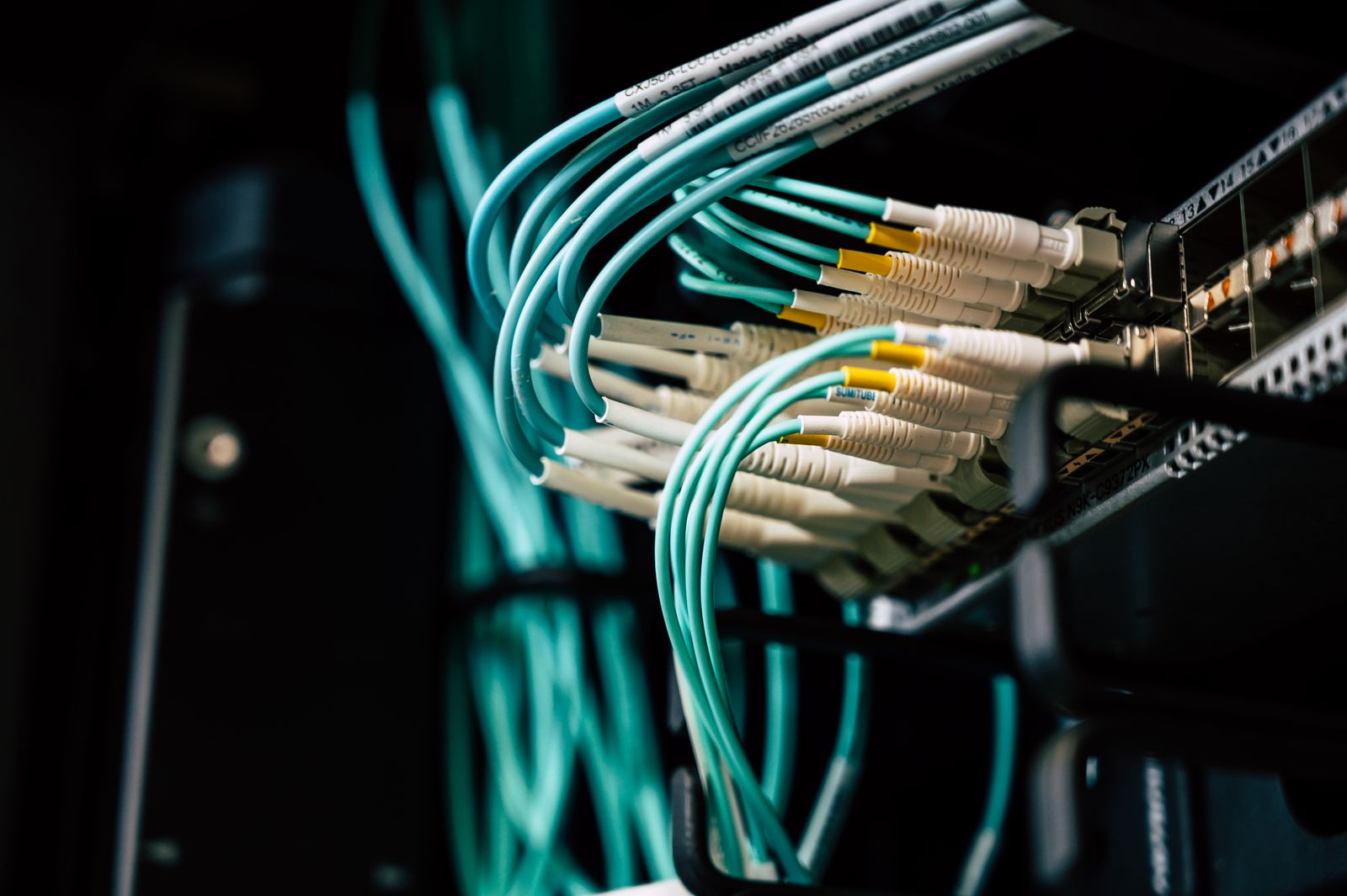 Light-blue optical jumpers connected to fiber-distribution ports on a network rack
