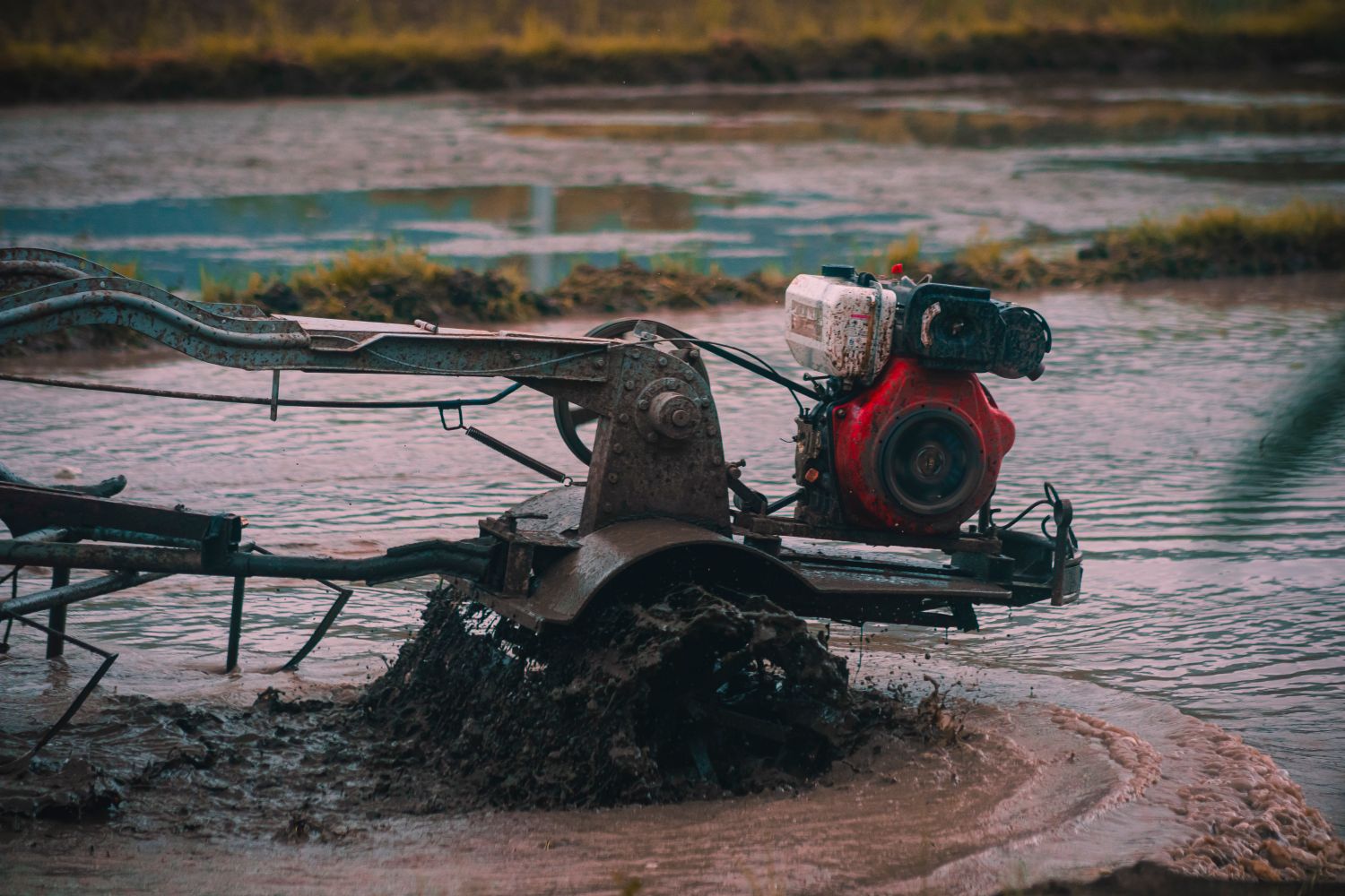 Agricultural and processing equipment