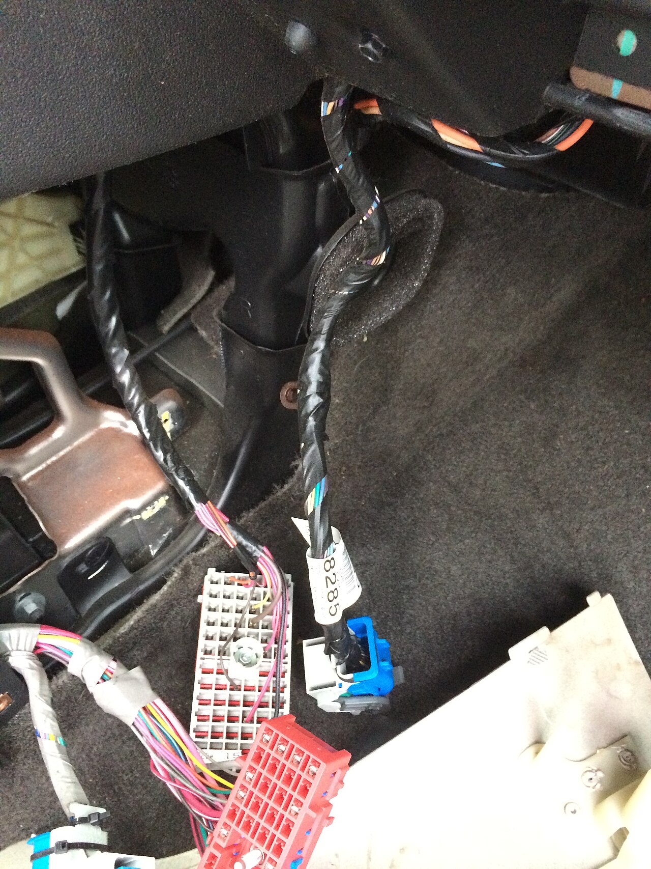 YESC and YMT identify families, not a buildable harness