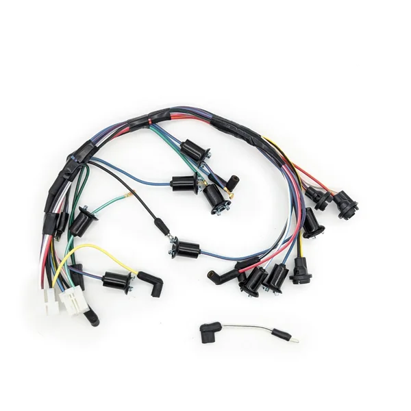 Instrument Cluster Multi-Socket & Rectangular Main Plug Harness