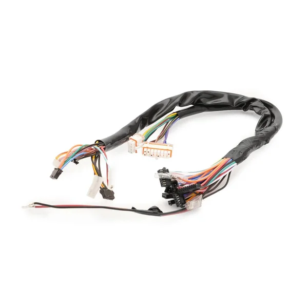 Electric Vehicle Sheathed Main Wiring Harness