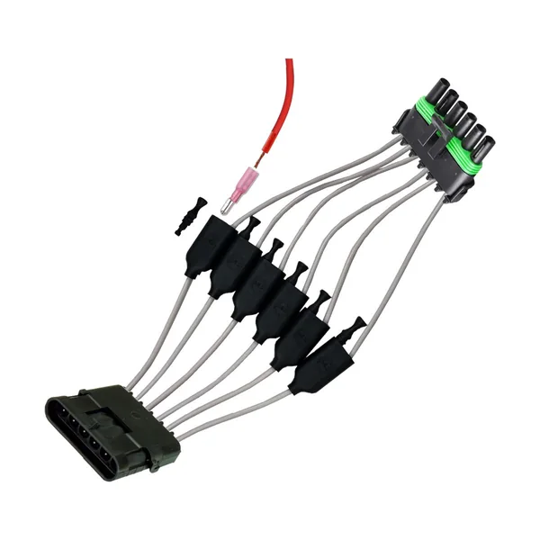 6-Pin Rectangular Connector to Ring-Terminal Branch Harness