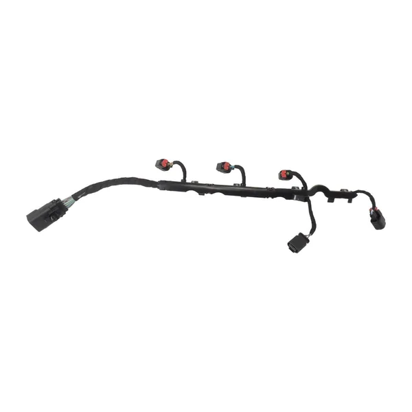 Fuel Injector Rail & Large Main Plug Branch Harness