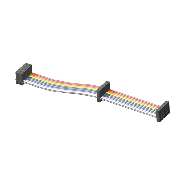 IDC Ribbon Cable Assembly
