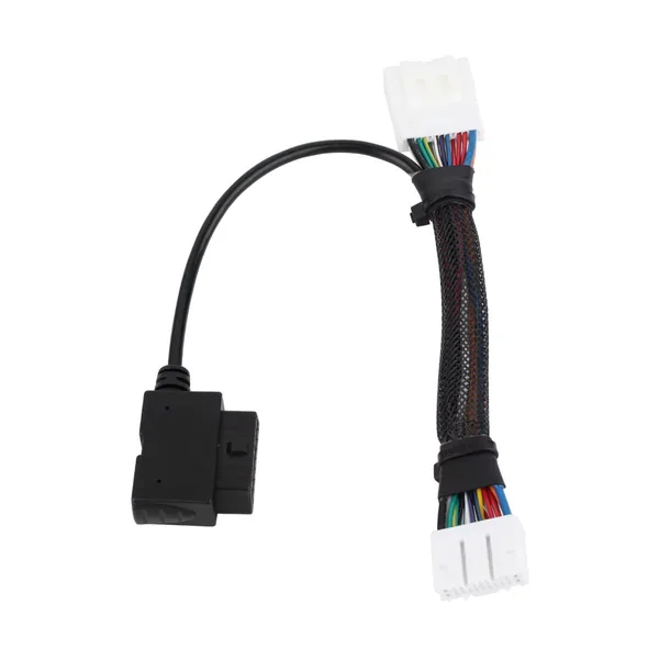 OBD Plug to Dual Rectangular Connector Harness