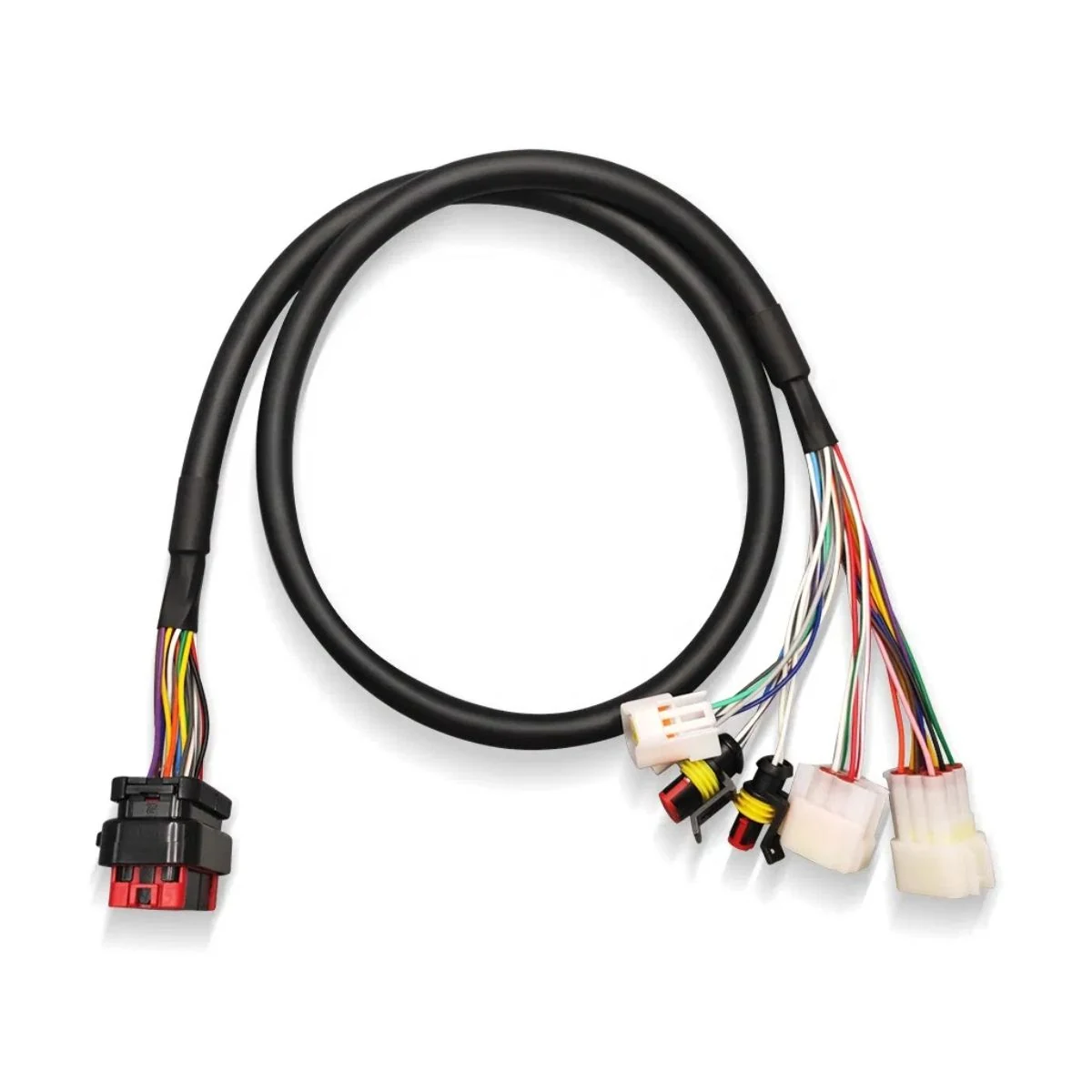 Rectangular Main Connector to Multi-Way Terminal Branch Harness