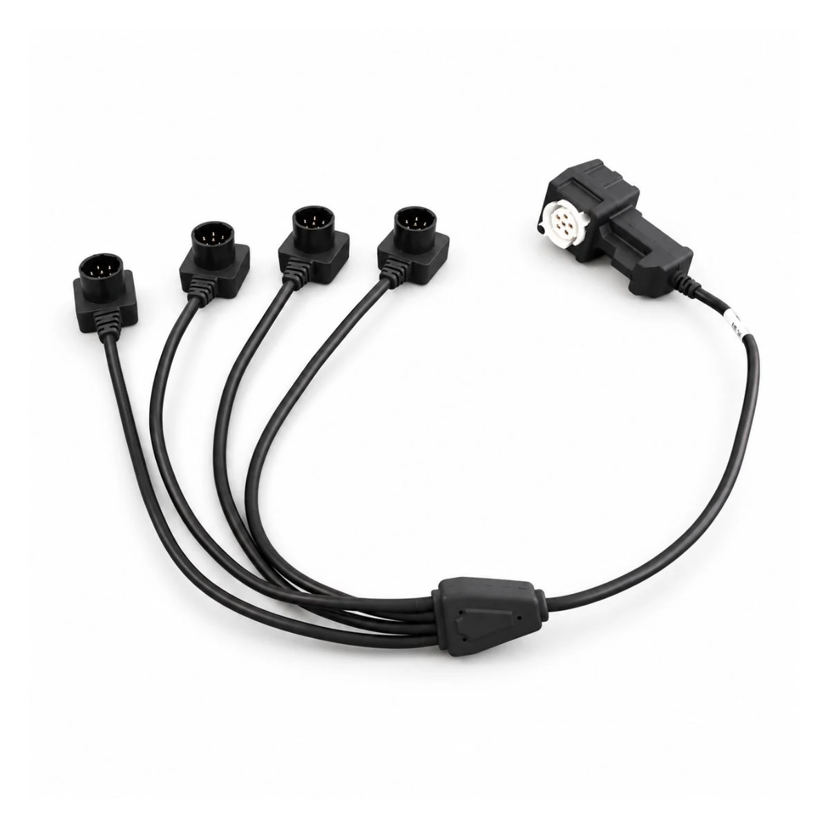 4-Branch Power Distribution Harness